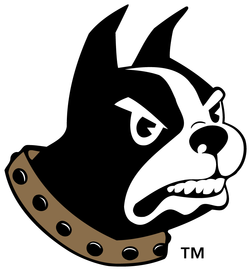 Wofford Terriers 2015-2019 Primary Logo diy iron on heat transfer